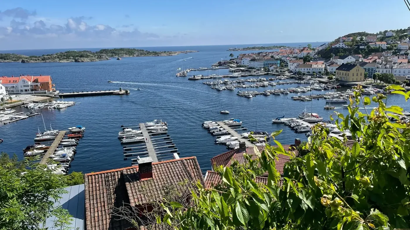 Utsikt over havnen i Risør